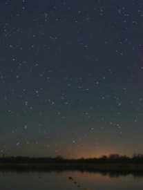 Uninterrupted Norfolk Skies