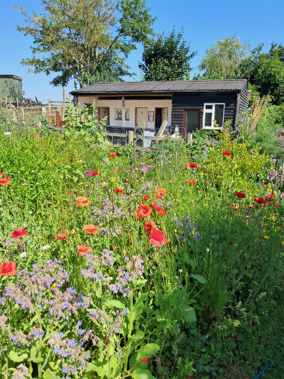 Camping Facilities